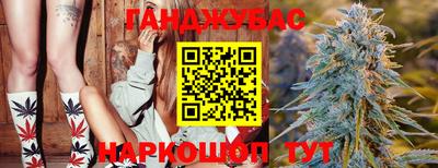 дмт Можайск
