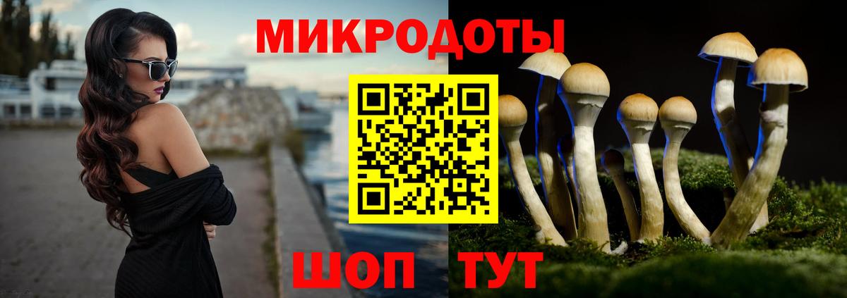 Верхняя Пышма  Псилоцибиновые грибы MAGIC MUSHROOMS  Вход с VPN  Псилоцибиновые грибы Psilocybine cubensis 